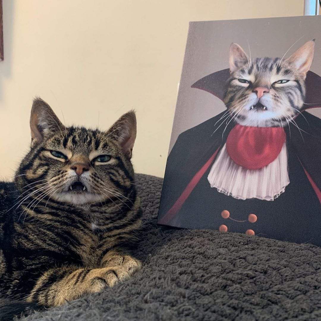 Crown and Paw - Canvas The Vampire - Custom Pet Canvas