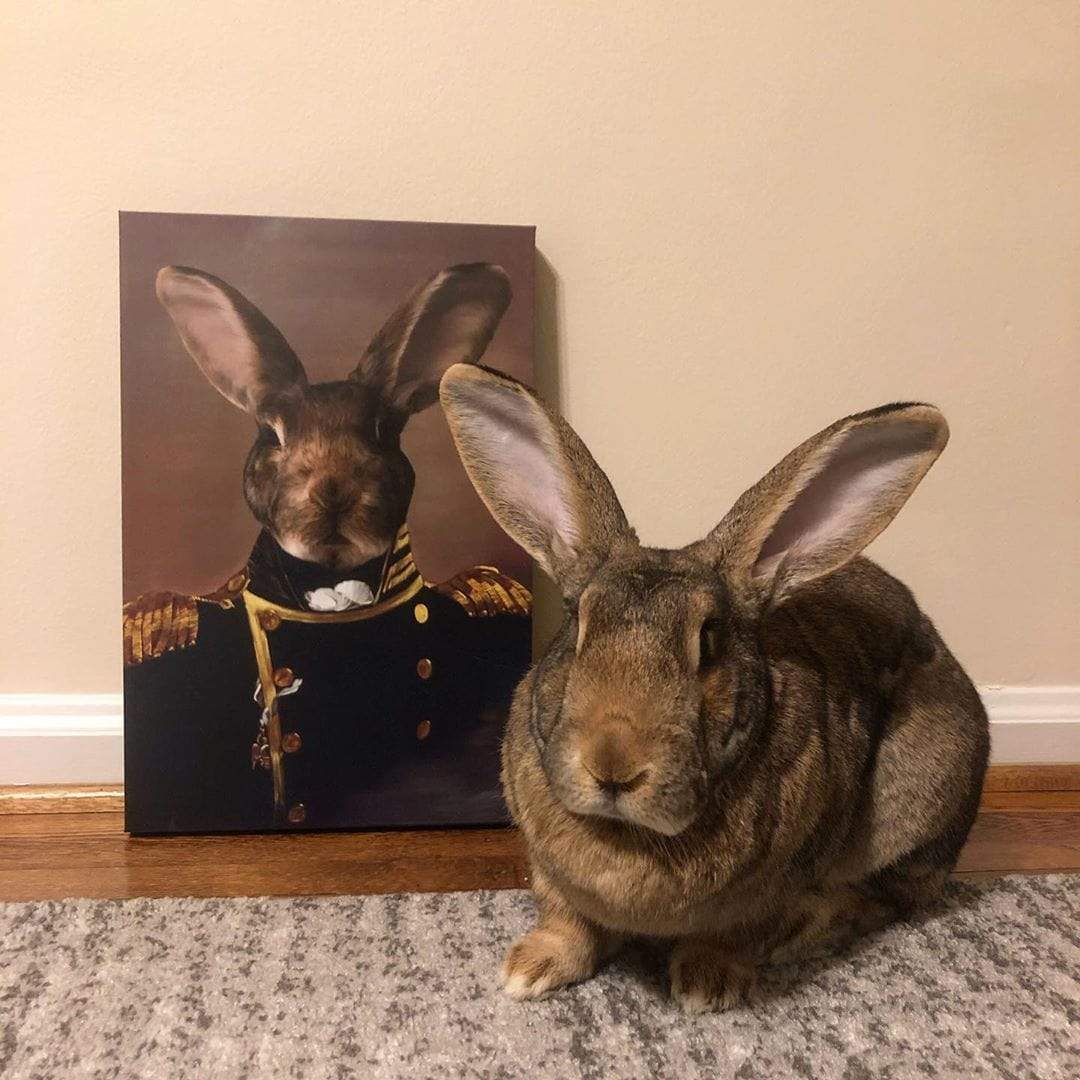 Crown and Paw - Canvas The Admiral - Custom Pet Canvas