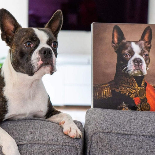 Crown and Paw - Canvas The Major - Custom Pet Canvas