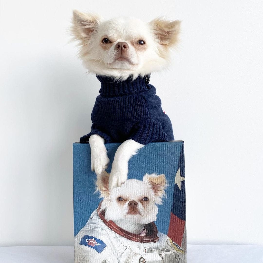 Crown and Paw - Canvas The Astronaut - Custom Pet Canvas