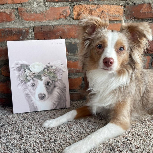 Crown and Paw - Canvas Full Bloom Pet Portrait - Custom Canvas