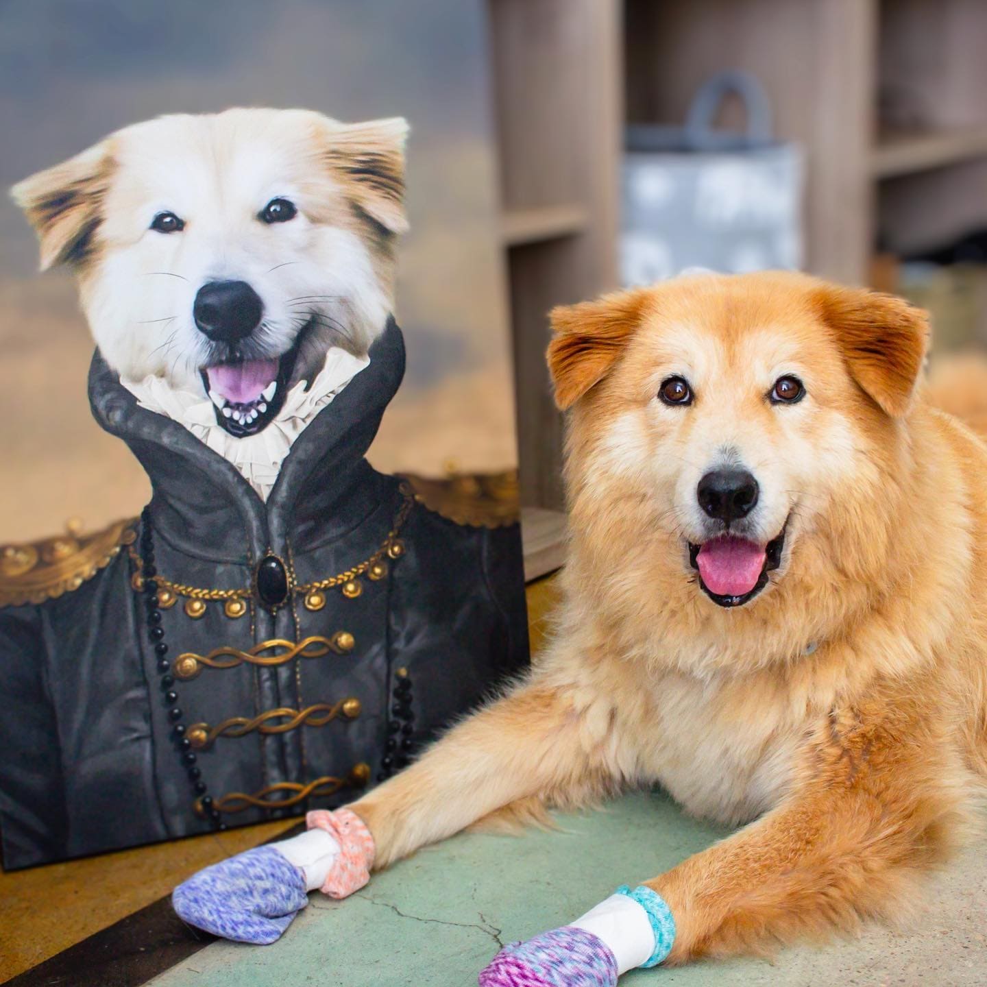 Crown and Paw - Canvas The Baroness - Custom Pet Canvas