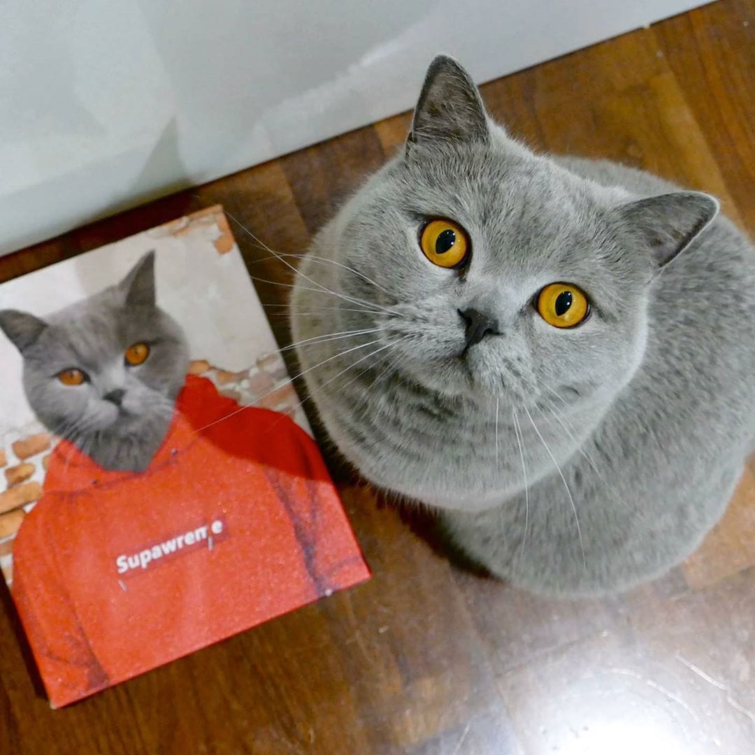 Crown and Paw - Canvas The Hypebeast - Custom Pet Canvas