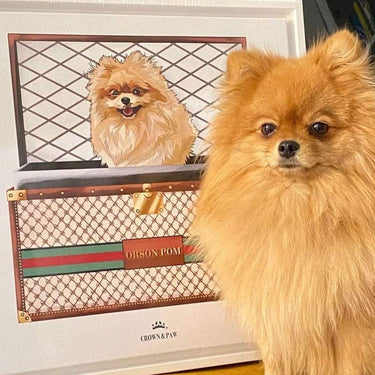Boujee Luxury Trunk Pet Portrait