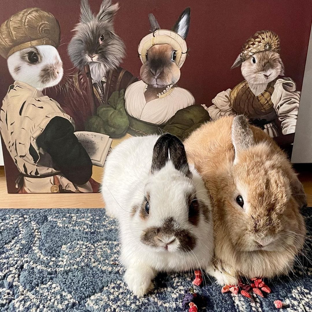 Crown and Paw - Canvas The Quartet - Custom Pet Canvas