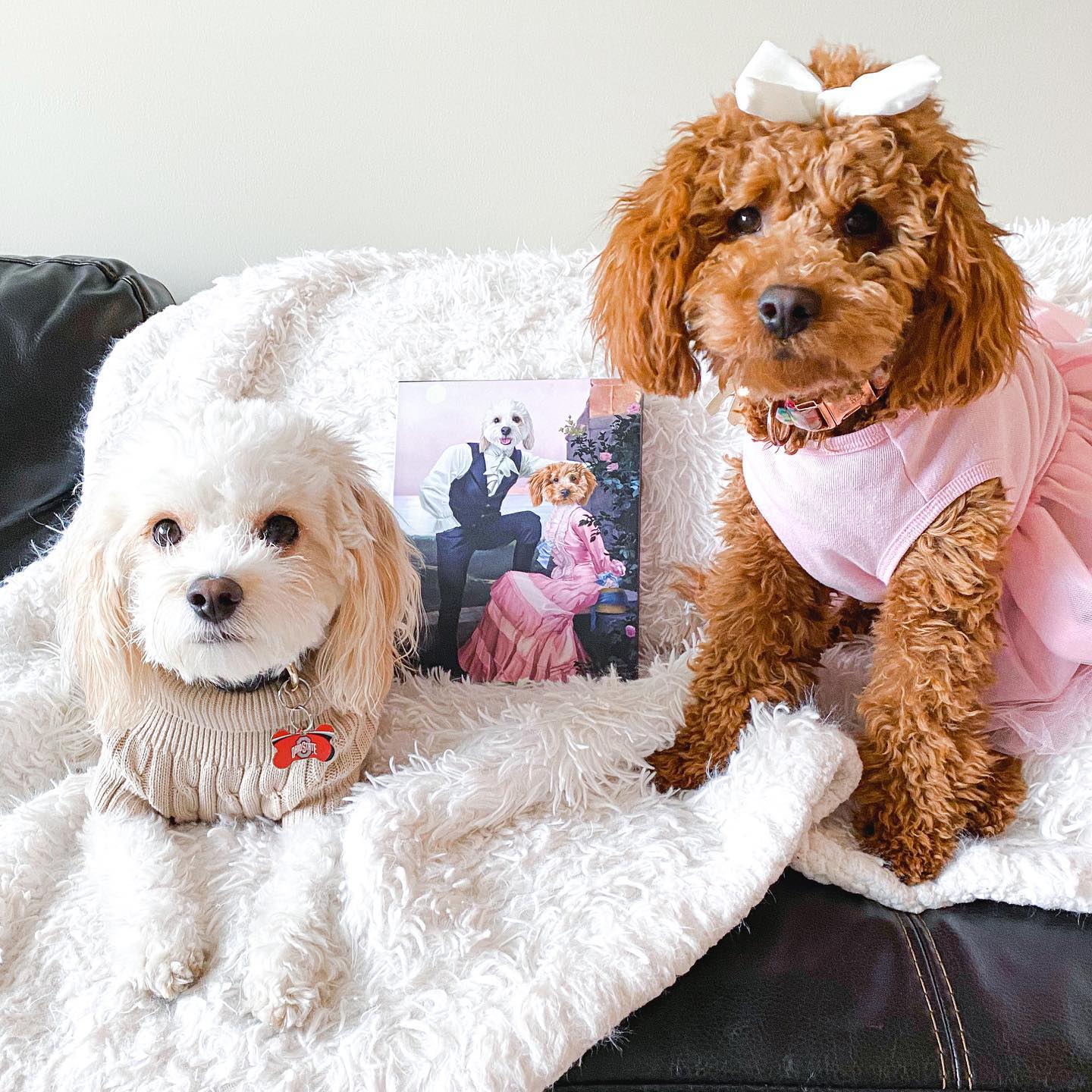 Crown and Paw - Canvas The Smooth Talkers - Custom Pet Canvas