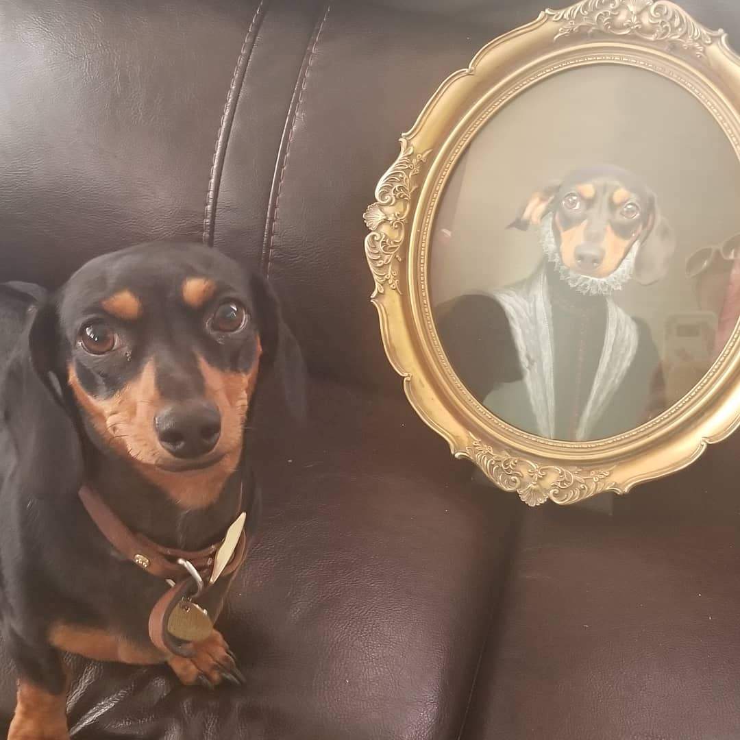 Crown and Paw - Poster The Countess - Custom Pet Poster